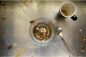 pia entupida com comida em sorocaba